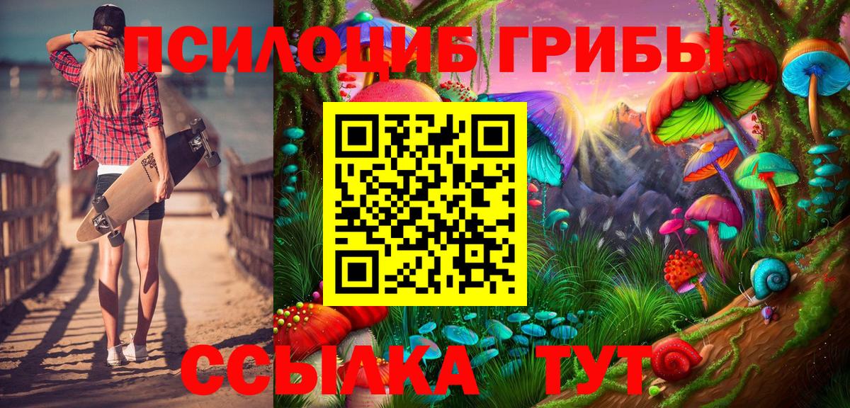 Псилоцибиновые грибы GOLDEN TEACHER  Вход с VPN  Дзержинск 