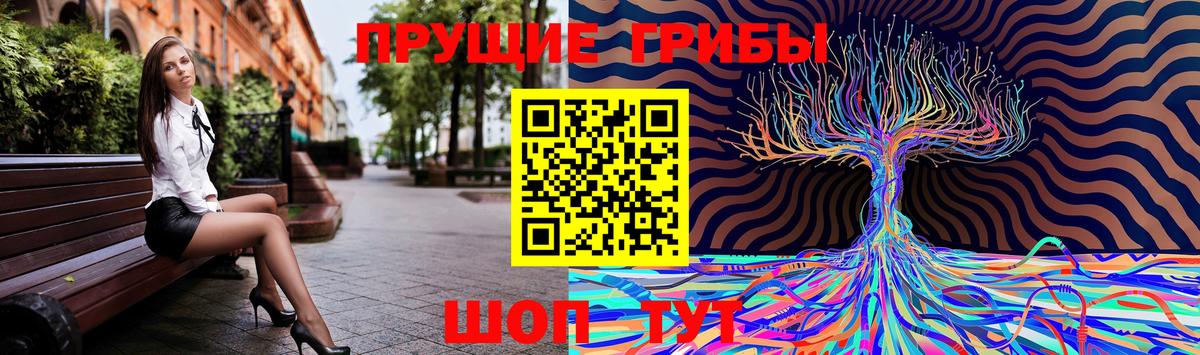 Галлюциногенные грибы GOLDEN TEACHER Дзержинск